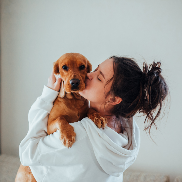 corso cuccioli